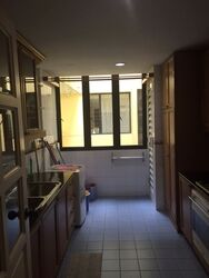 Euro-Asia Park (D13), Condominium #354885491